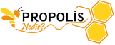 Propolis Bilgilendirme Platformu
