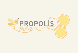 Propolis Nasıl Hasat Edilir?